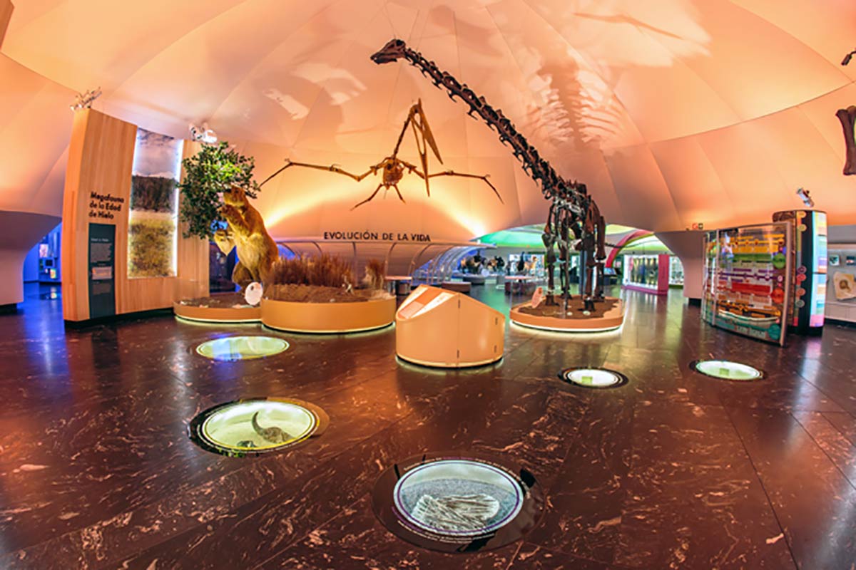 El Museo de Historia Natural y Cultura Ambiental abre sus puertas