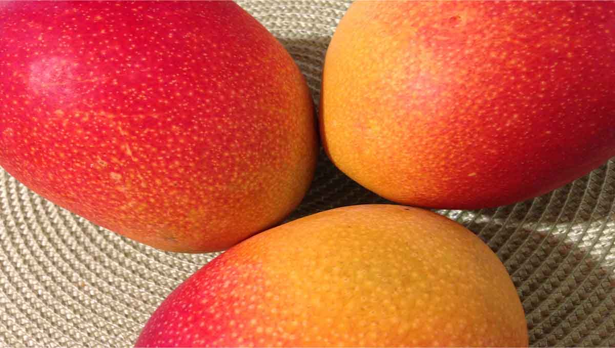 5 postres con mango
