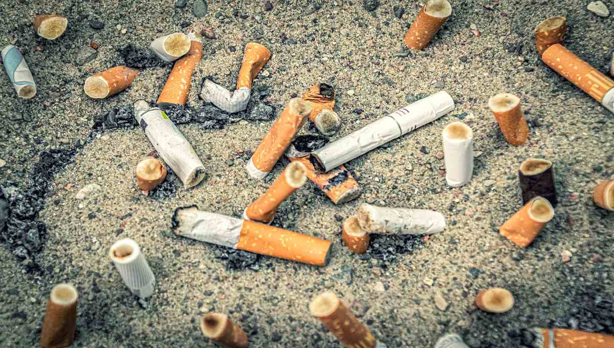Proponen prohibir cigarros en playas por contaminación de colillas