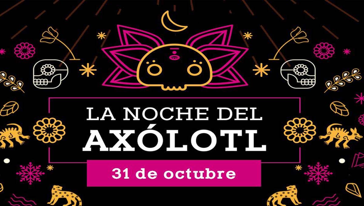 Vive la Noche del Axólotl en Axolotitlán