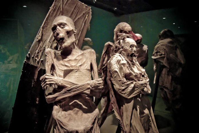 Momias de Guanajuato, víctimas de una pandemia