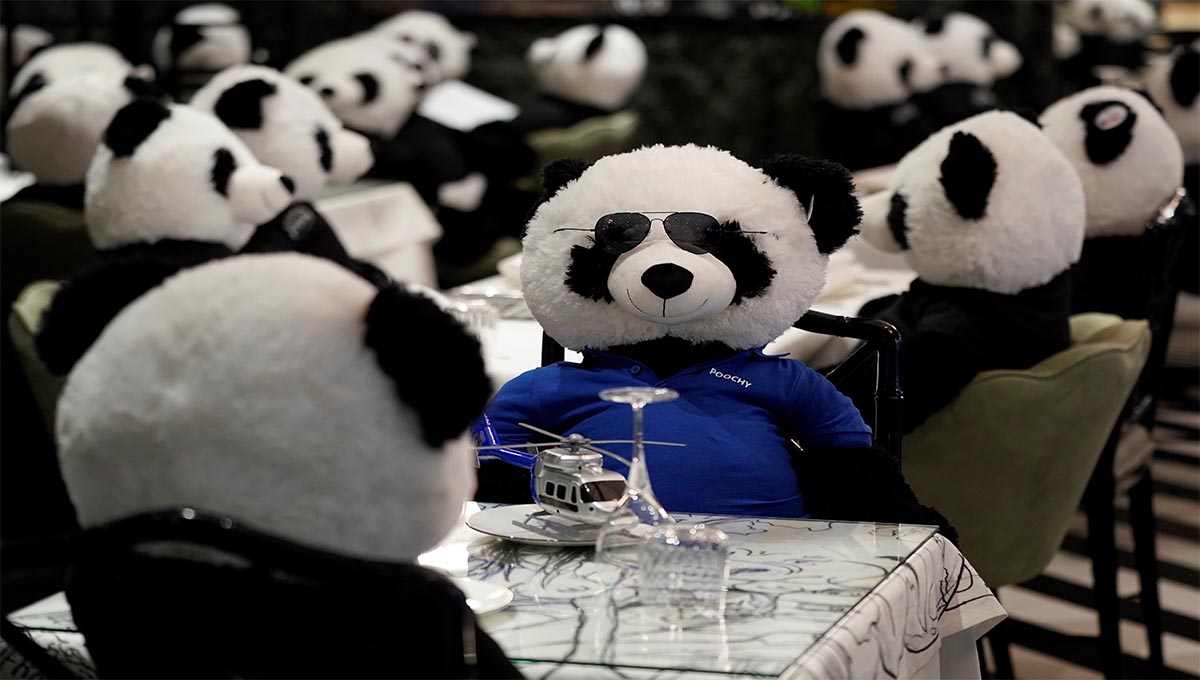 Restaurante en Alemania protesta con osos panda de peluche