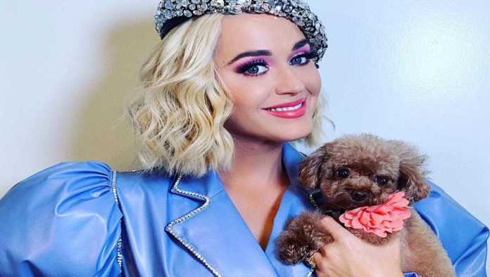 Katy Perry con su perro vegano