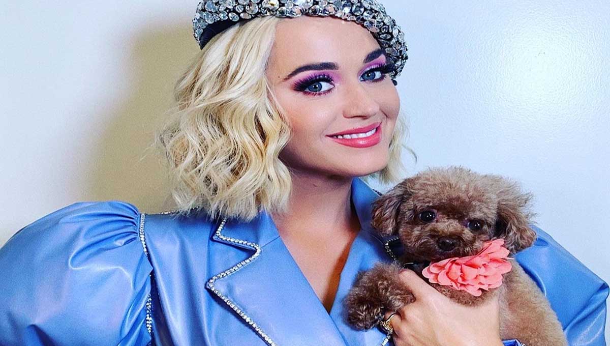 Katy Perry con su perro vegano