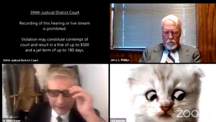 Video de abogado con filtro con gato
