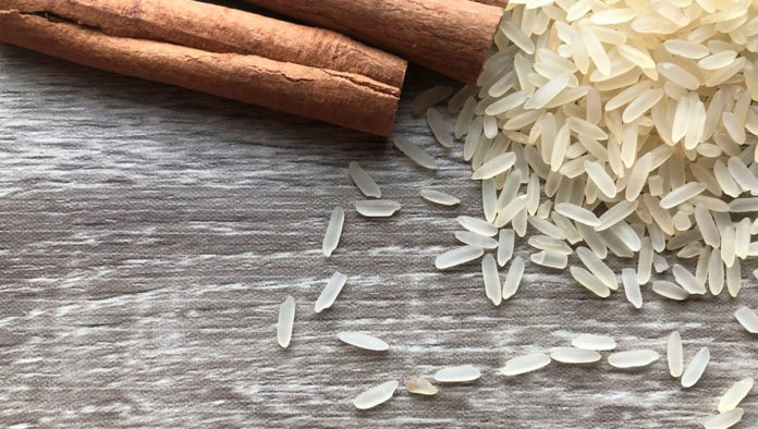 Aprende a preparar el clásico arroz con leche que siempre encanta