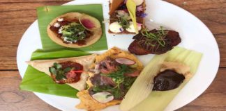 Comida que se probará en Oaxaca Flavors