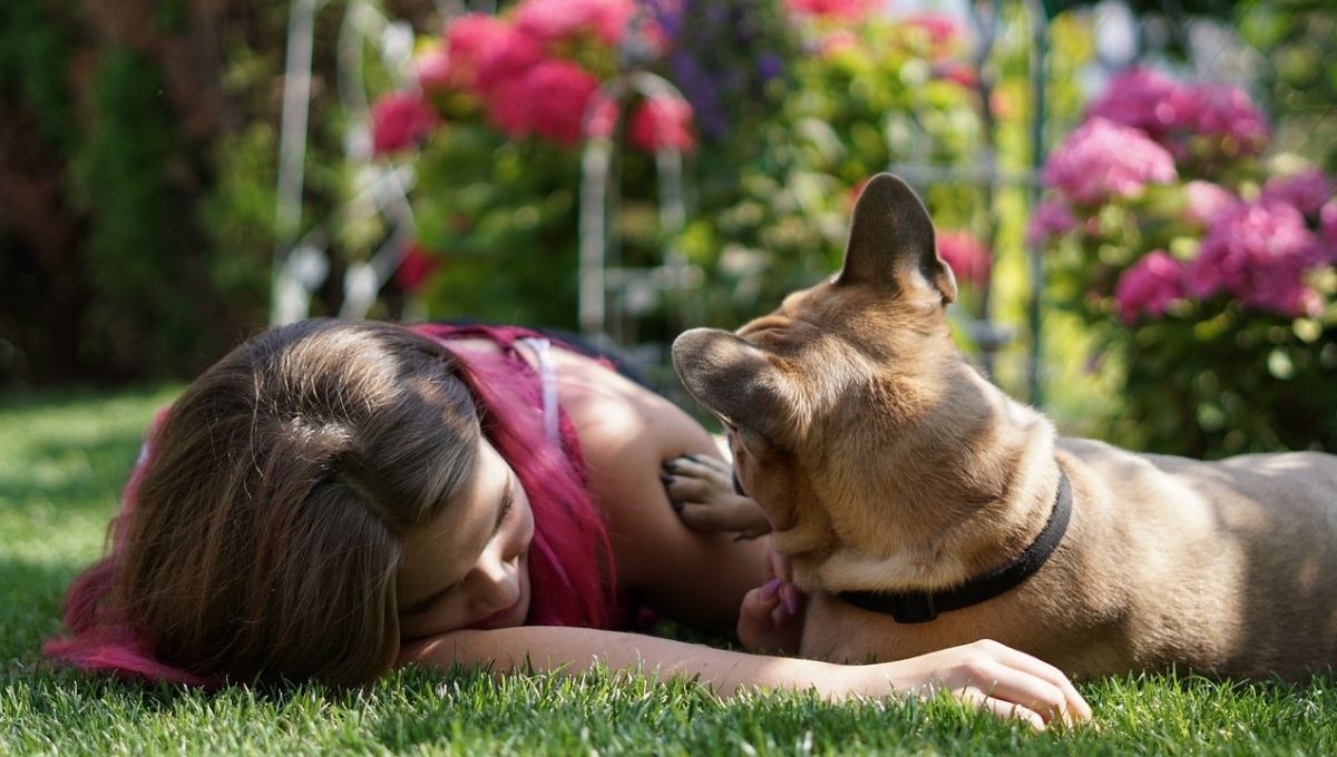 Tu estrés podría causarle ansiedad a tu perro, según un estudio