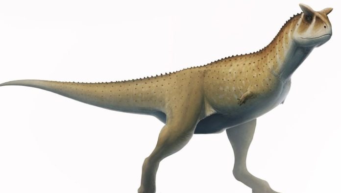 Nueva especie de dinosaurio en Argentina