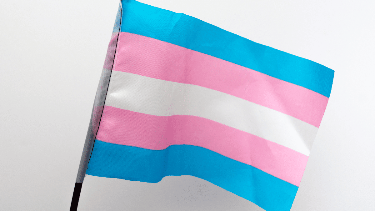 Bandera de la comunidad trans