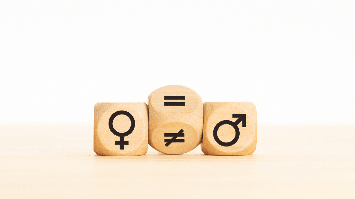 Desigualdad de género 
